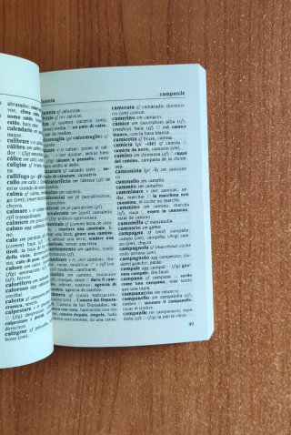 Dizionario spagnolo. Italiano-spagnolo, spagnol...