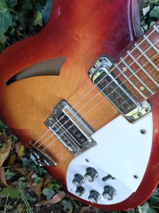 Rickembacker 330 Guitarra Eléctrica