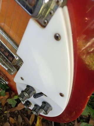 Rickembacker 330 Guitarra Eléctrica