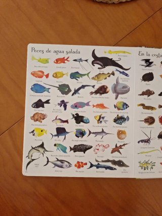 1000 animales