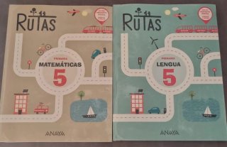 Libros de sexto de primaria y de quinto de primar