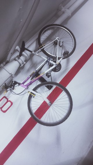 Bicicleta de Montaña