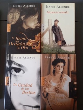 Lote de 13 libros de Isabel Allende