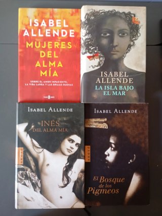 Lote de 13 libros de Isabel Allende