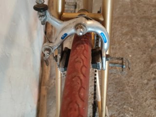Bicicleta de paseo. Zeus.