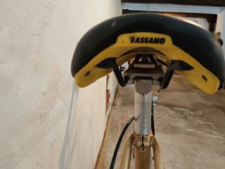 Bicicleta de paseo. Zeus.