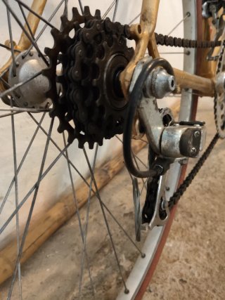 Bicicleta de paseo. Zeus.