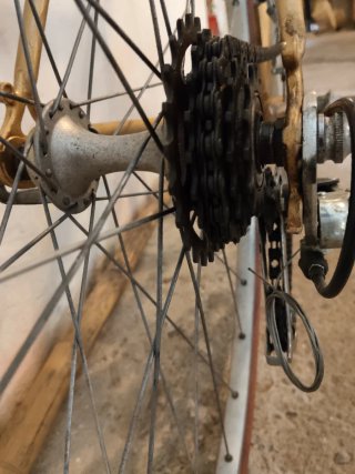Bicicleta de paseo. Zeus.
