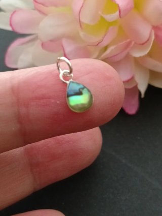 Colgante Plata 925 Mini Ávalon 7x6 mm