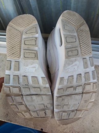 Zapatillas Nike Air Max SC Blancas y Beige. 39