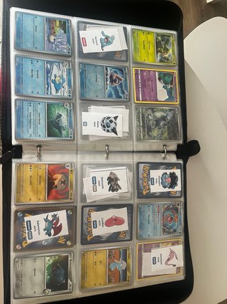 Colección Cartas Pokémon Hoenn TCG