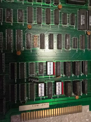 Placa USA AF Mustang - Jamma