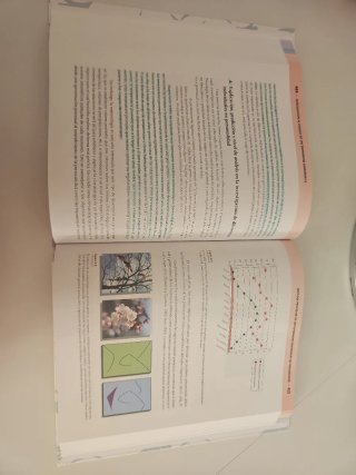 Introducción al estudio de las diferencias indi...