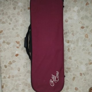Violín con funda y arco