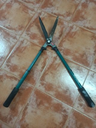 Cortasetos de Jardín