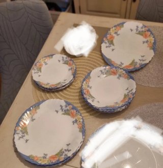 18 Platos Arcopal Florine.