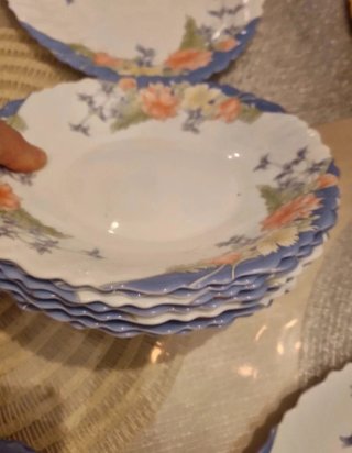 18 Platos Arcopal Florine.