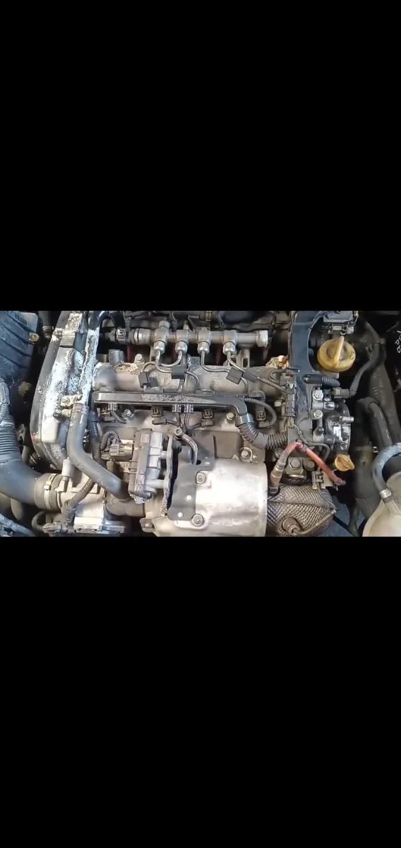 Motor Fiat Doblo 1.6 JTD 105cv '18