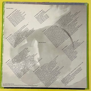 Sonic Youth - Bad Moon Rising (LP)