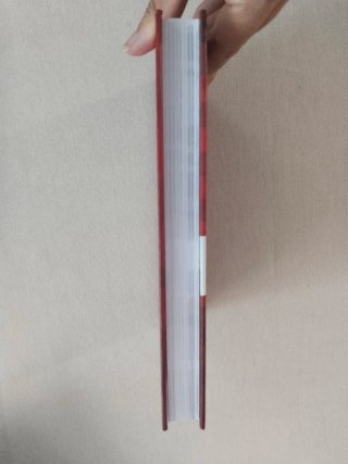 Libro "El gatito que se perdió en el inframundo"