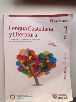 Lengua castellana y literatura