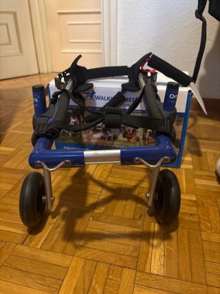 Silla de ruedas Ortocanis
