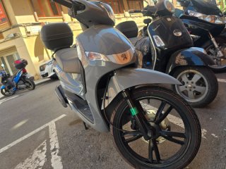 Peugeot Tweet Gris