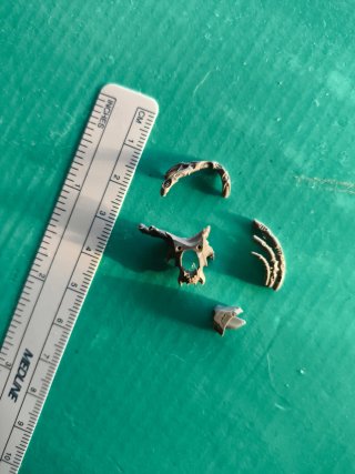 Angron Piezas Bits Warhammer