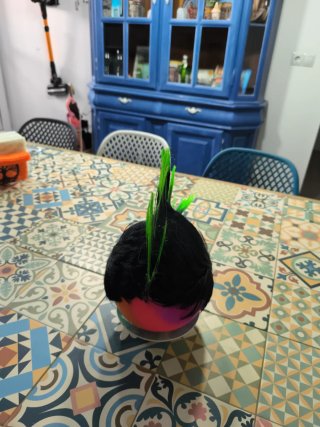Peluca Disfraz Punk