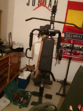 Máquina Gimnasio Espalda y Brazos