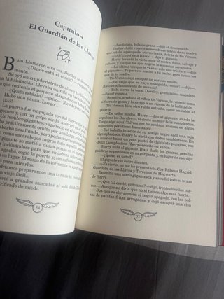 Harry Potter y la Piedra Filosofal (Edición Lim...