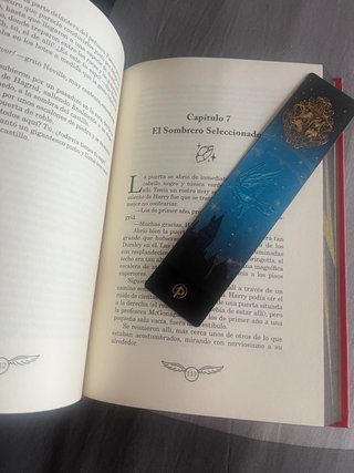 Harry Potter y la Piedra Filosofal (Edición Lim...
