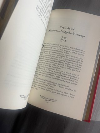 Harry Potter y la Piedra Filosofal (Edición Lim...