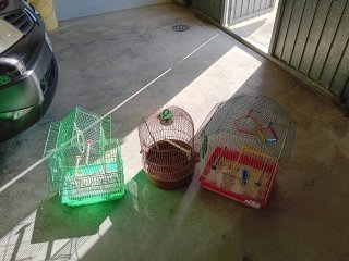 Jaulas para pájaros (3 unidades)