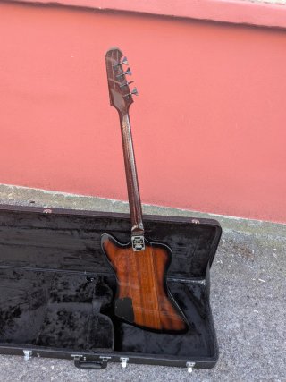 Bajo Epiphone Thunderbird