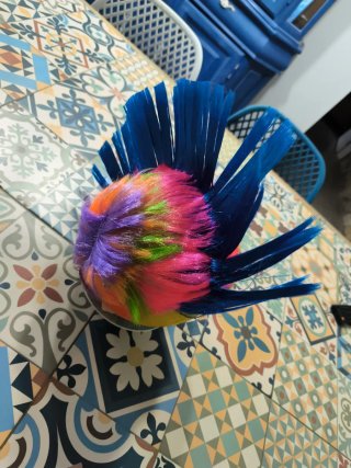 Peluca divertida disfraz multicolor