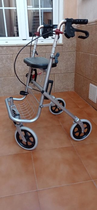 Andador anciano