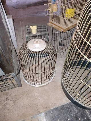 Lote Jaulas Pájaros Loros Cotorras agapornis ninfa