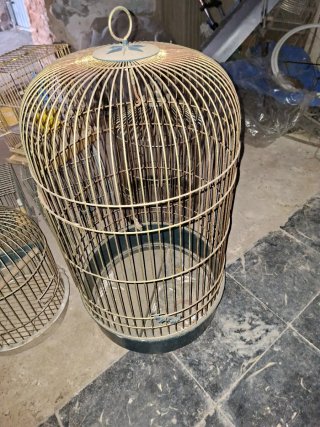 Lote Jaulas Pájaros Loros Cotorras agapornis ninfa