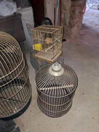 Lote Jaulas Pájaros Loros Cotorras agapornis ninfa