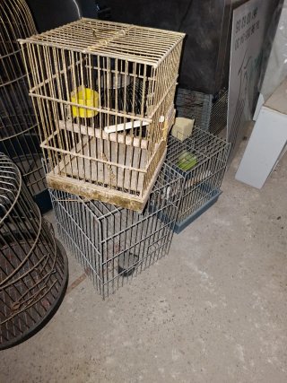 Lote Jaulas Pájaros Loros Cotorras agapornis ninfa