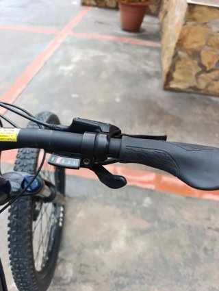 Bicicleta Eléctrica Liv Mujer Montaña