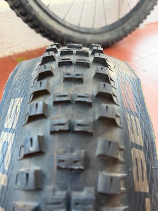 Schwalbe Big Betty Super Trail 27.5
