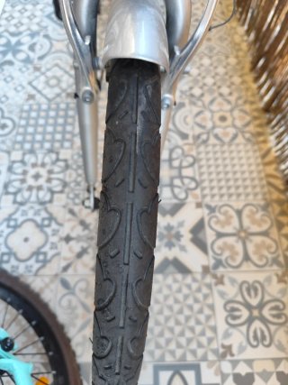 Bicicleta Plegable Folding08