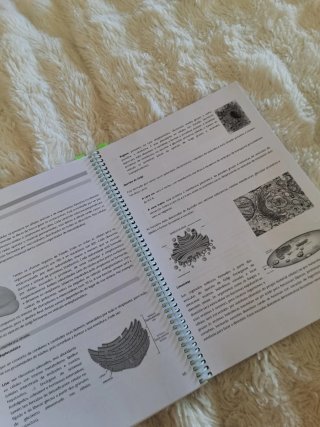 Apuntes de 2⁰Bachillerato