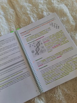 Apuntes de 2⁰Bachillerato