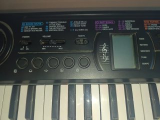 Órgano Casio