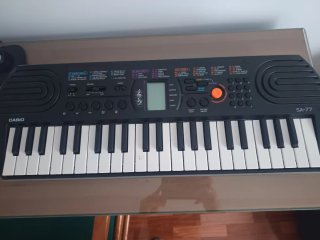 Órgano Casio
