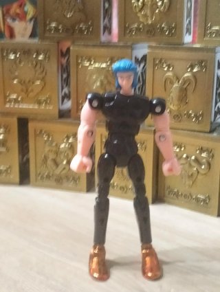 Cavalieri dello Zodiaco "Acquario"