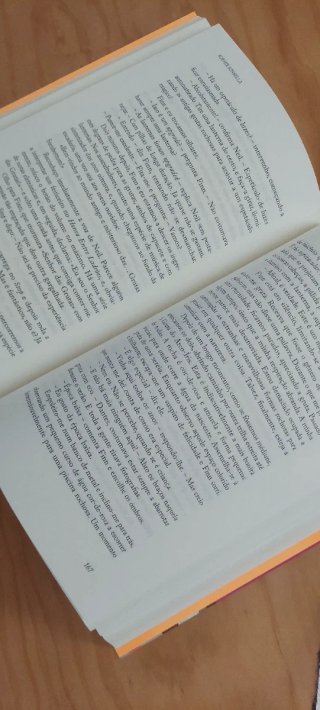 Livro O Burnout